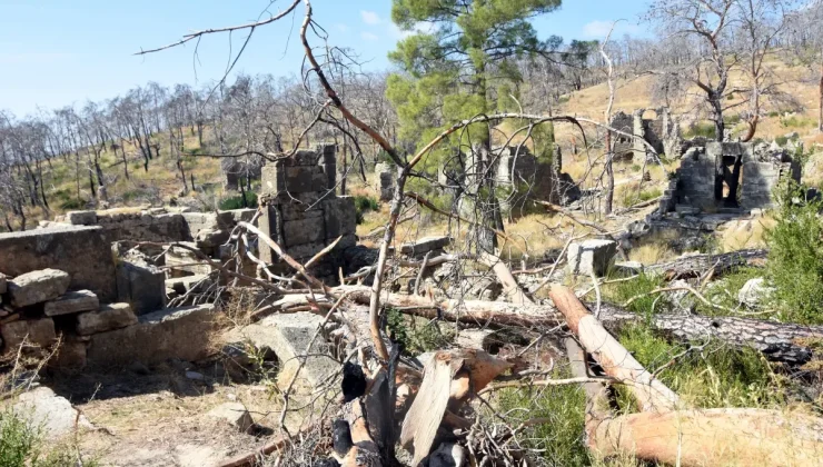 Manavgat’taki Antik Kent Yangınından Zarar Gördü